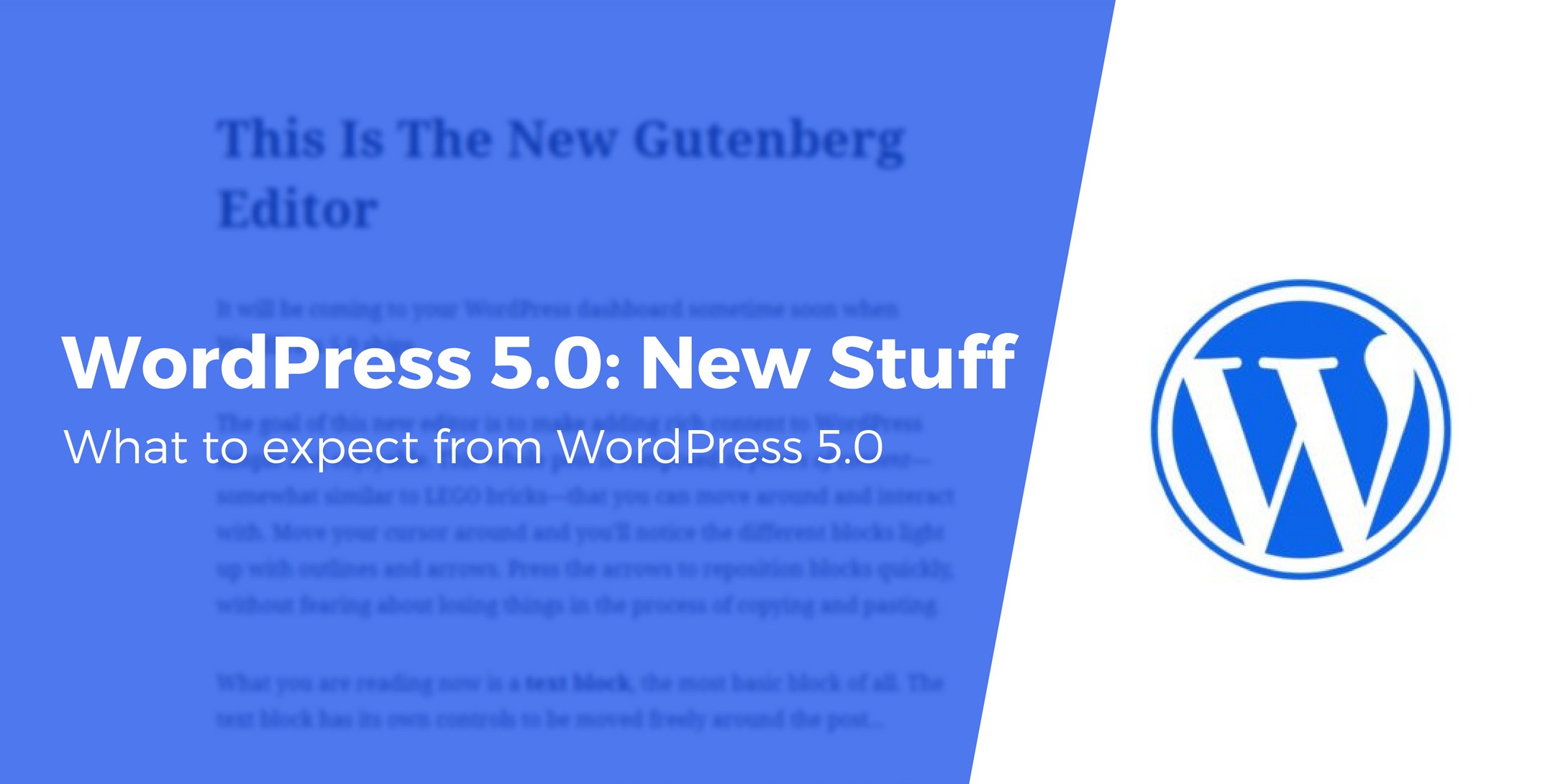 What’s New in WordPress 5.0, Plus What to Expect From the Block-Based Editor